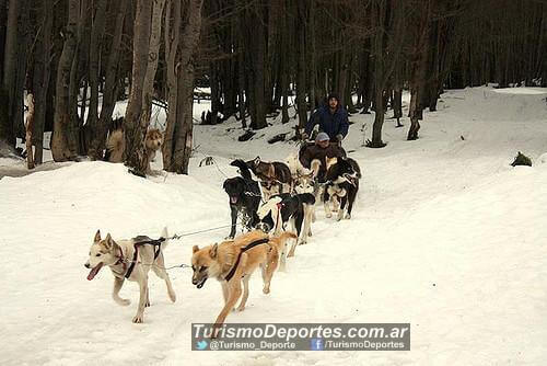 Valle de lobos Ushuaia Tierra Del Fuego - Los 5 mejores lugares para visitar en Argentina