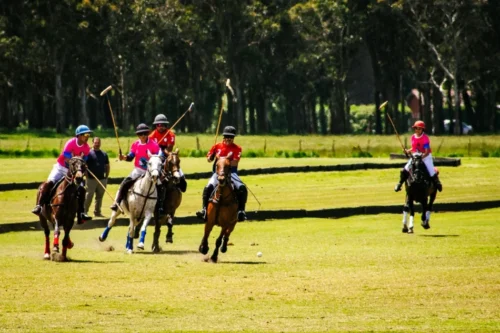 Mar del Plata Polo Club