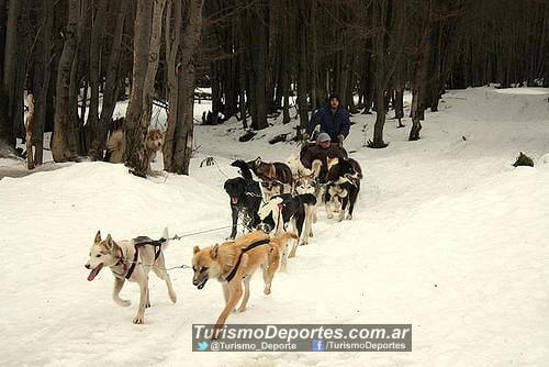 Valle de lobos Ushuaia Tierra Del Fuego