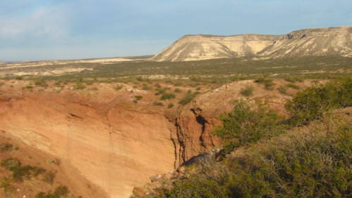Bardas roquenses en General Roca Rio Negro