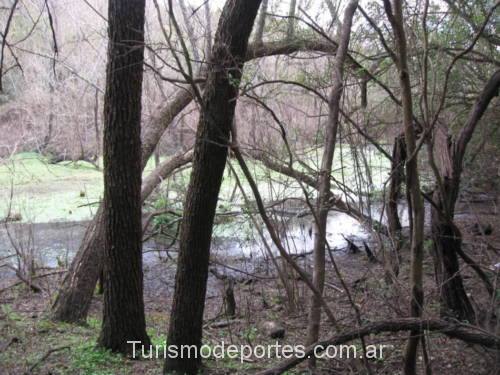 El Palmar de Colón Entre Ríos