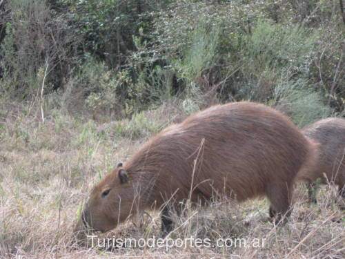 El Palmar de Colón Entre Ríos