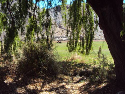 Parque nacional El Leoncito