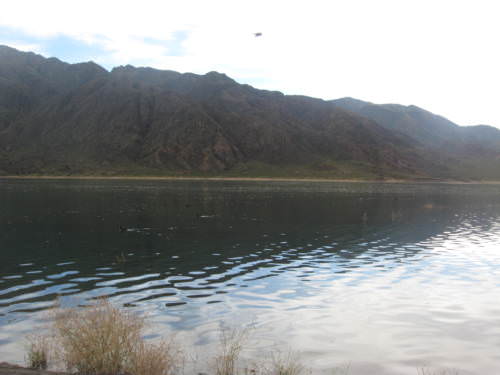 Potrerillos Mendoza Argentina