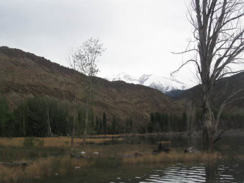 Potrerillos Mendoza Argentina