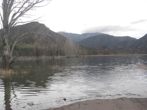 Potrerillos Mendoza Argentina