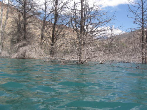 Potrerillos Mendoza Argentina