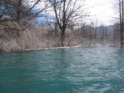 Potrerillos Mendoza Argentina