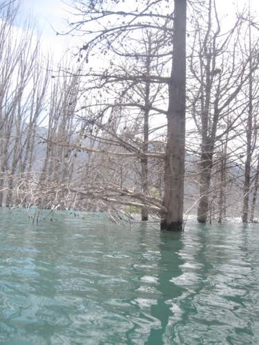 Potrerillos Mendoza Argentina