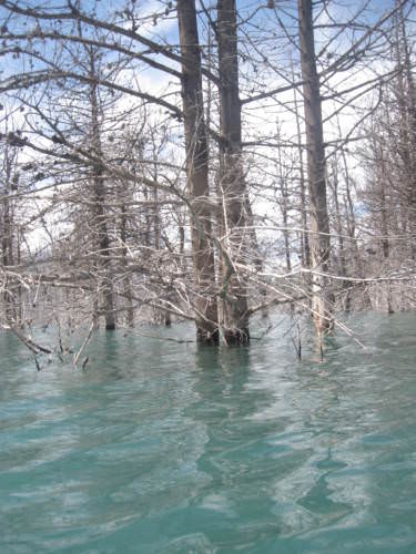 Potrerillos Mendoza Argentina