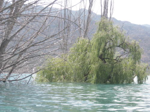 Potrerillos Mendoza Argentina