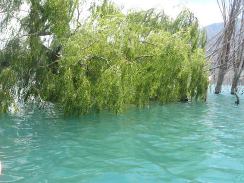 Potrerillos Mendoza Argentina