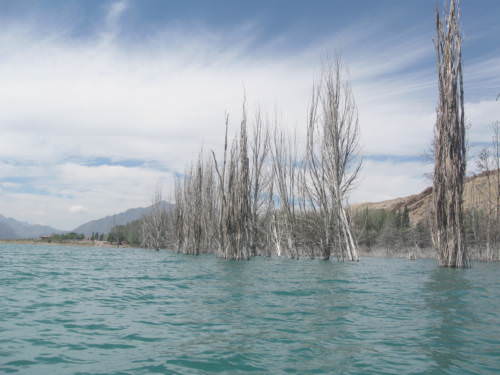 Potrerillos Mendoza Argentina