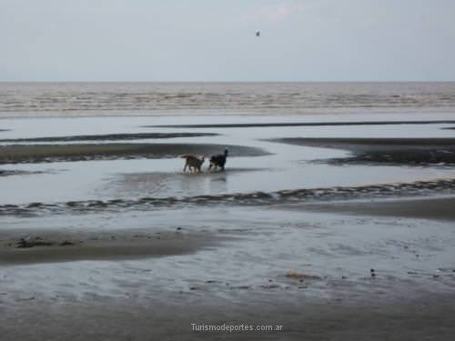 Punta De Indio Buenos Aires