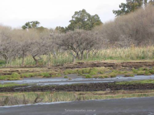 Punta De Indio Buenos Aires