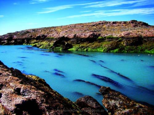 Ria deseado en puerto deseado