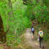 Trekking por la selva en Quebrada de san lorenzo salta