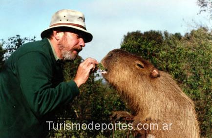carpincho en El Palmar de Colón Entre Ríos
