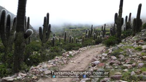 Tumbaya sendero punta corral